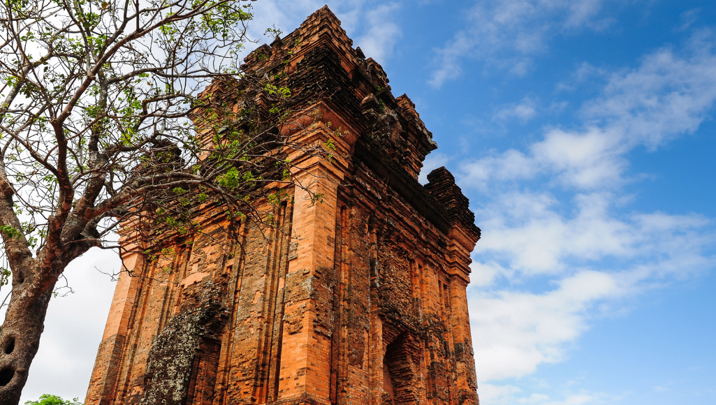 NHA TRANG - NẮNG, GIÓ VÀ BIỂN XANH  — ảnh 2